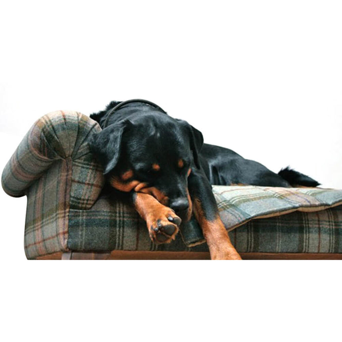 Pet Bed